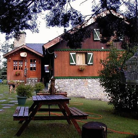 라 몰리나 Niu Dels Falcons B&B 외부 사진